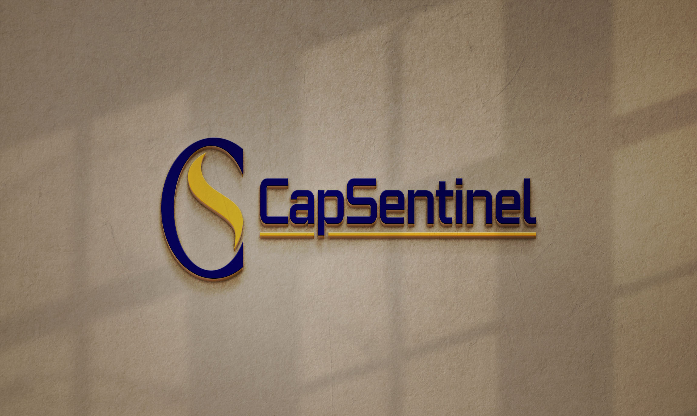 Lessons Learned: 1-Year Into Starting The CapSentinel, LLC